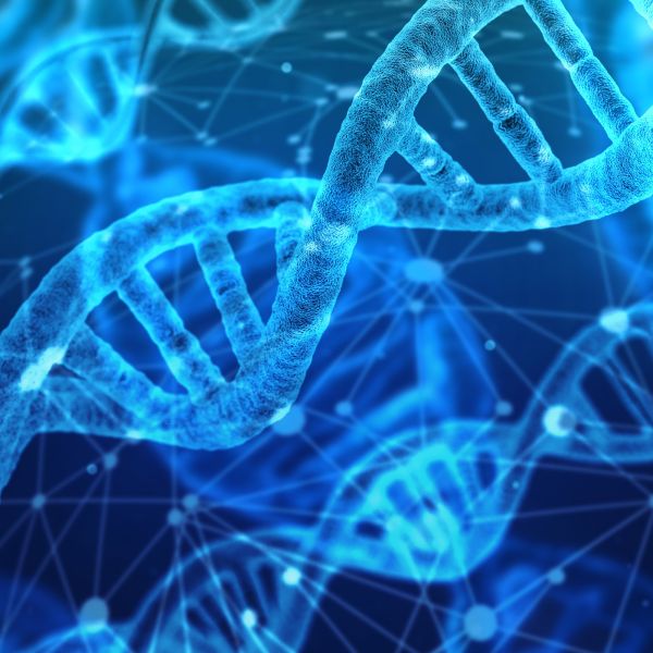 COVID-19 RNA Vs 2