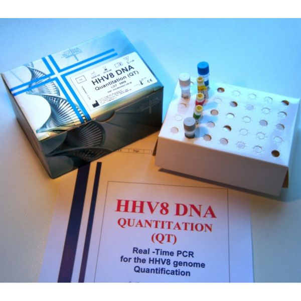 HHV8 DNA QUANTITATION (QT)