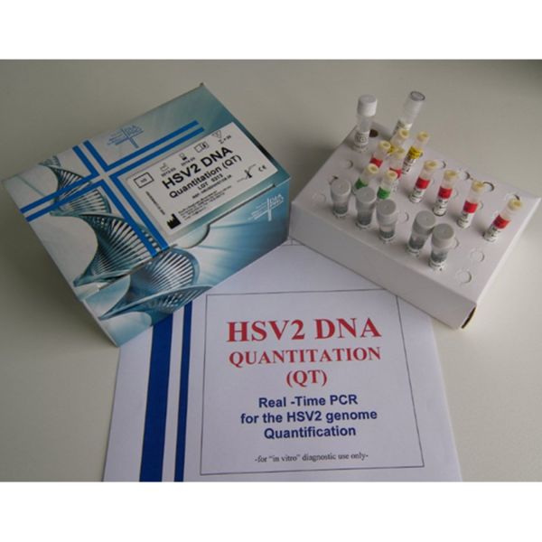 HSV2 DNA QUANTITATION (QT)